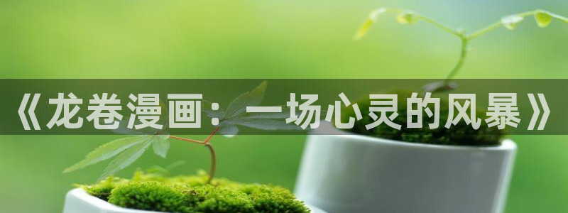 香蕉漫画官方版正版 链接